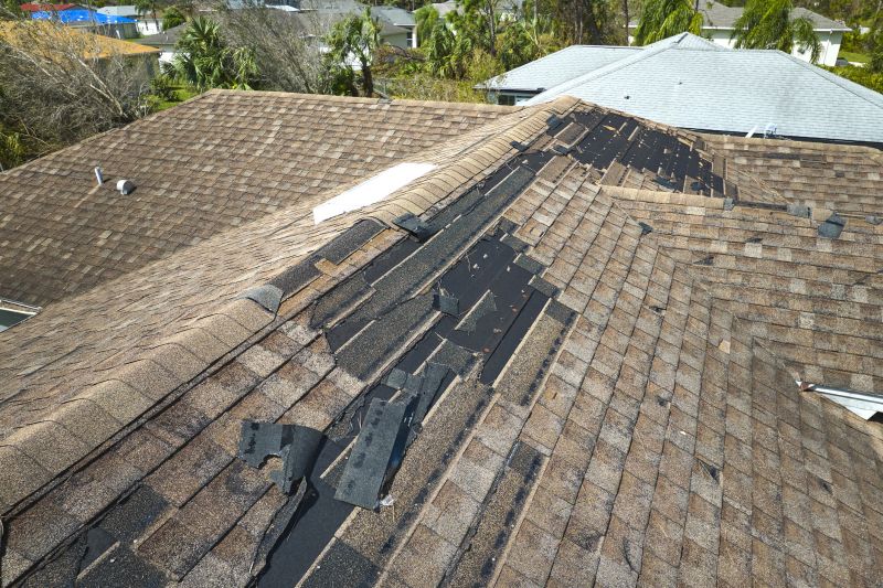 Shingle Repair Process